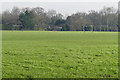 Playing fields, Darby Green