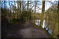 TQ2729 : Paths divide by Fish Pond, Nymans Wood by Christopher Hilton