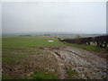 TA1175 : Muddy field, Cap Hill by JThomas