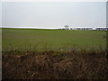 TA1176 : Crop field near Hallmfield by JThomas