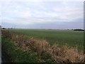 Fields near Derrythorpe