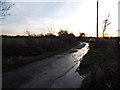 Sunset over Runtley Wood Lane, Sutton Green