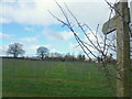 Footpath to Holme Marsh