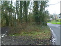 Footpath junction on Horsham Road