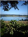 Golygfa tuag at Frynsiencyn o Blas Llanfair - View towards Brynsiecyn from Plas Llanfair