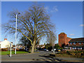 Dixon Street in Parkfields, Wolverhampton