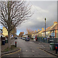 Vinery Road: winter light