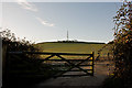 The mast at Maidenford, Barnstaple