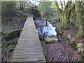 Boardwalk over stream heading for footbridge