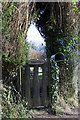 ST0980 : Rustic Gate by Alan Hughes