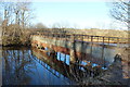 Bridge over the River