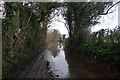 Puddle on Upper Strode (Lane)