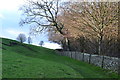 Footpath along edge of woodland at The Ashes