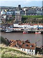 Whitby from above the old town