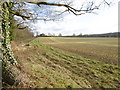 Field next to Hamptons Road