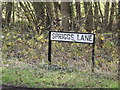 TL6003 : Spriggs Lane sign by Geographer