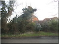 Houses on Poles Lane, Thundridge