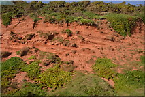 SX9777 : Red sandstone near Langstone Point by N Chadwick