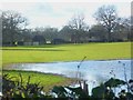 "Geerings" seen across wet field with footpath