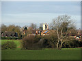 Over the fields to Haslingfield