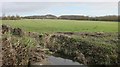 Looking out over Hallen Marsh, soon to be a photovoltaic farm