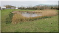 A small pond nestling amongst the vast sheds of this industrial estate