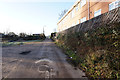 Track leading to Holgate Allotments