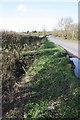 Roadside ditch opposite Cuckoo Wood Farm