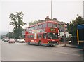 Bus on Anerley Hill, Crystal Palace