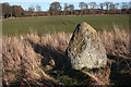 Castle Fraser Recumbent Stone Circle (9)