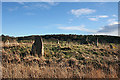 Castle Fraser Recumbent Stone Circle (12)