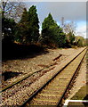 Coryton Line from Heath Low Level towards Ty Glas, Cardiff