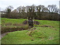 A tributary of the River Otter