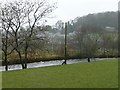 SD8164 : The River Ribble entering Settle by Christine Johnstone