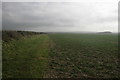 Bridleway, Thorncombe Farm