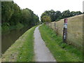 Coventry Canal towpath at Alvecote