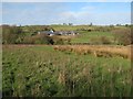 Fields below Bryn Dansi