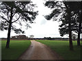 Footpath across golf course fairway