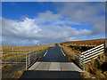 NG3870 : Cattle grid on the A855 by John Allan
