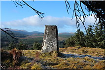 NX4098 : Trig Point, Tairlaw Ring by Billy McCrorie