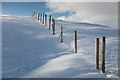 NN9100 : Fence on the ridge by Doug Lee