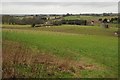 SO9869 : Farmland near Tardebigge by Philip Halling