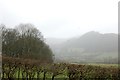 Murky day in Lorton Vale