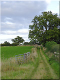 SJ6542 : Farm track near Swanbach in Cheshire by Roger  D Kidd