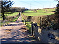 Llwybr Coedlline / Coedllinw path