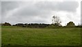 Field near Hooe