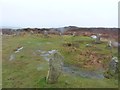 Stone Circle, Truthwall Common