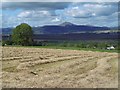 Field on the edge of Kippen