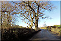 B4389 approaching overhead lines