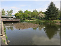 Pond in Vision Park, Histon